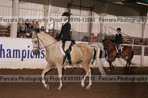 Proof 09yn-12893