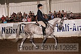 09yn-12895 proof