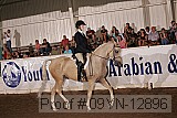 09yn-12896 proof