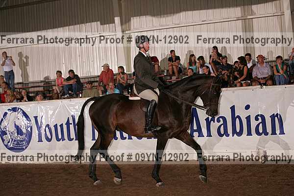 Proof 09yn-12902