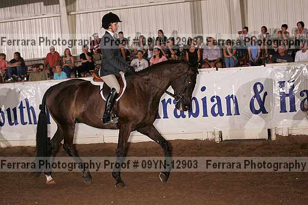 Proof 09yn-12903