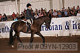 09yn-12903 proof