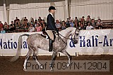09yn-12904 proof