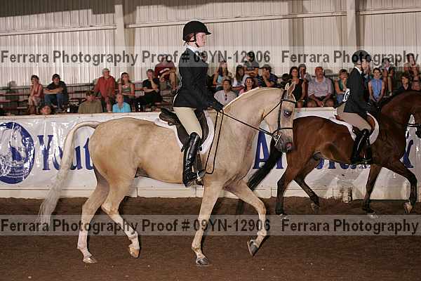 Proof 09yn-12906
