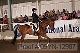 09yn-12907 proof