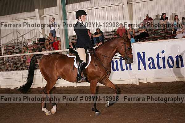 Proof 09yn-12908