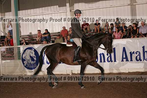 Proof 09yn-12910