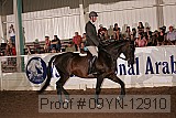 09yn-12910 proof