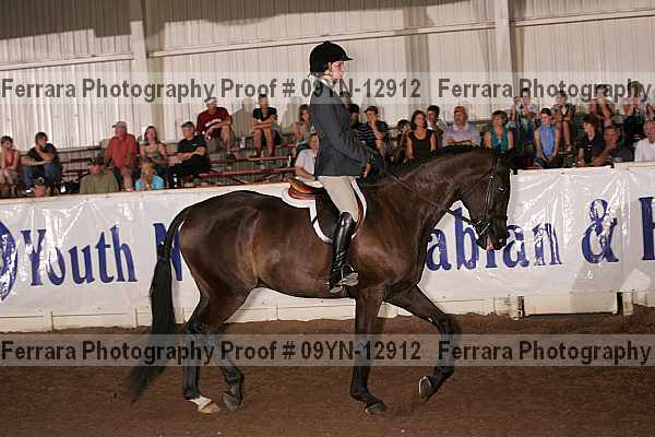 Proof 09yn-12912