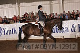 09yn-12912 proof