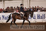 09yn-12915 proof