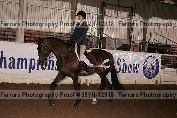 Proof 09yn-12918