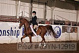 09yn-12919 proof