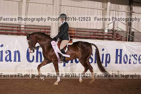 Proof 09yn-12923