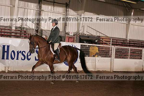 Proof 09yn-17072