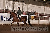 09yn-17072 proof