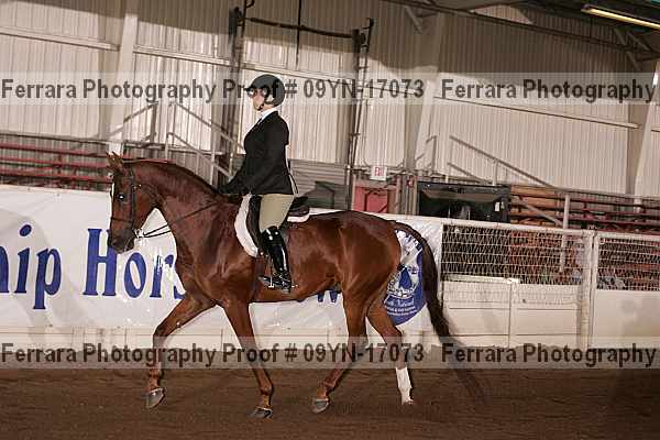 Proof 09yn-17073