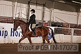 09yn-17073 proof