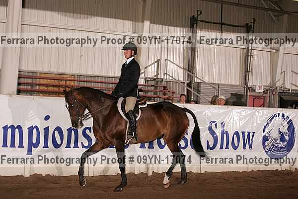 Proof 09yn-17074