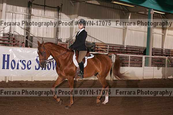 Proof 09yn-17075