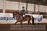 09yn-17077 proof