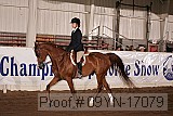 09yn-17079 proof