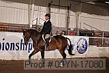 09yn-17080 proof