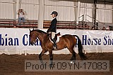 09yn-17083 proof