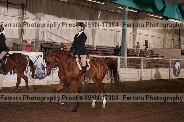 Proof 09yn-17084
