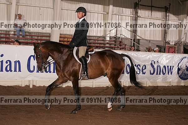 Proof 09yn-17086