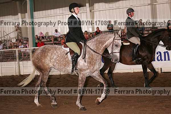 Proof 09yn-17089