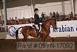 09yn-17092 proof