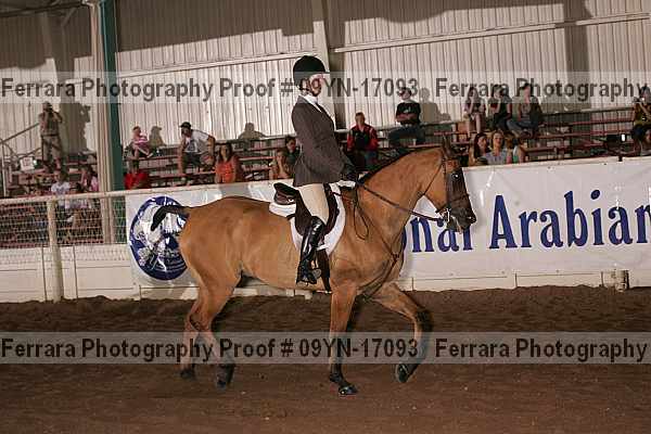 Proof 09yn-17093