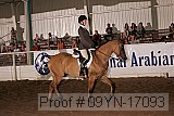09yn-17093 proof