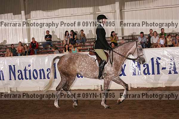 Proof 09yn-17095