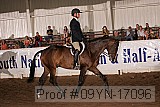 09yn-17096 proof