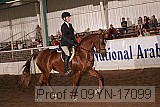 09yn-17099 proof