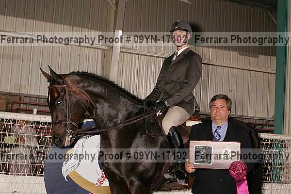 Proof 09yn-17102