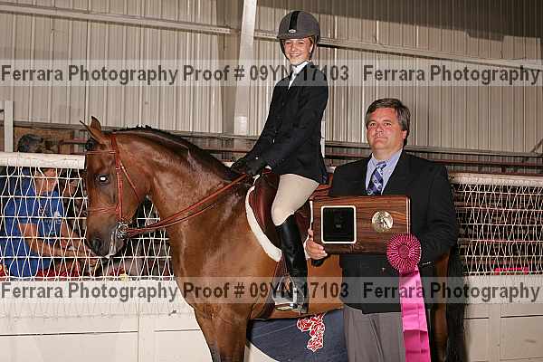 Proof 09yn-17103