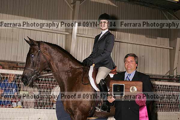 Proof 09yn-17104