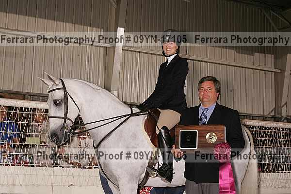Proof 09yn-17105