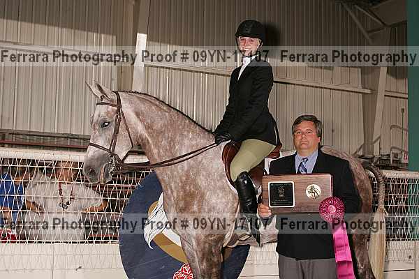 Proof 09yn-17107