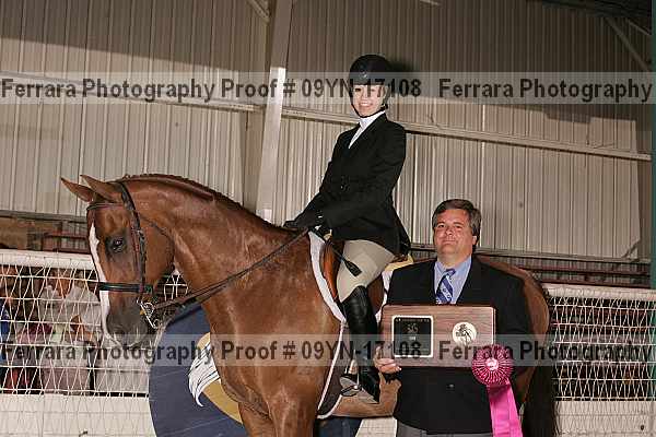 Proof 09yn-17108