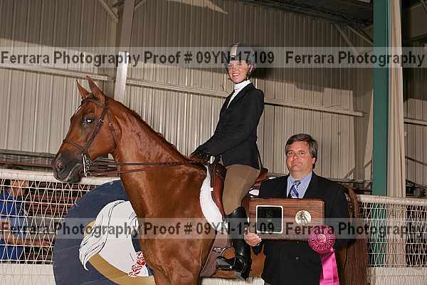 Proof 09yn-17109