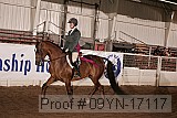 09yn-17117 proof