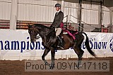 09yn-17118 proof
