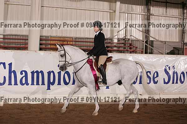 Proof 09yn-17121