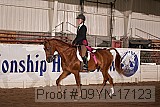 09yn-17123 proof