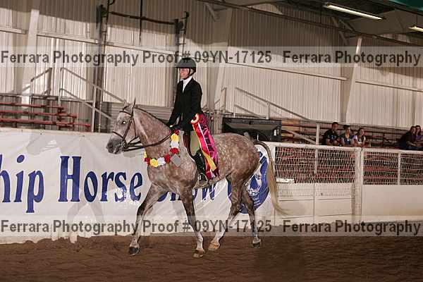 Proof 09yn-17125