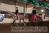 09yn-17128 proof